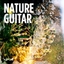 Nature Guitar