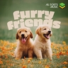 Safe And Sound Albumcover