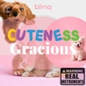 Bouncaroo Bonanza Albumcover