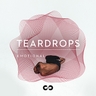 Torn Albumcover