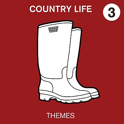 Country Life Volume 3