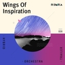 Flying Over The Falls Albumcover