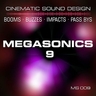 Frequency Disturbance 38 Albumcover