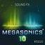 Megasonics 10