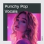 Punchy Pop Vocals