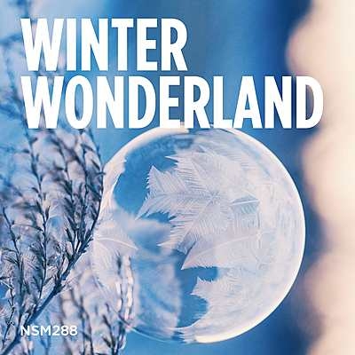 Winter Wonderland