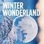 Winter Wonderland